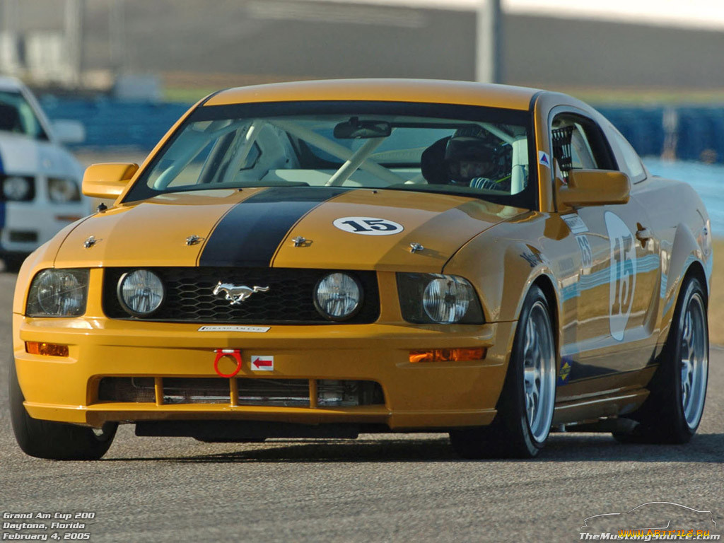ford, mustang, , 